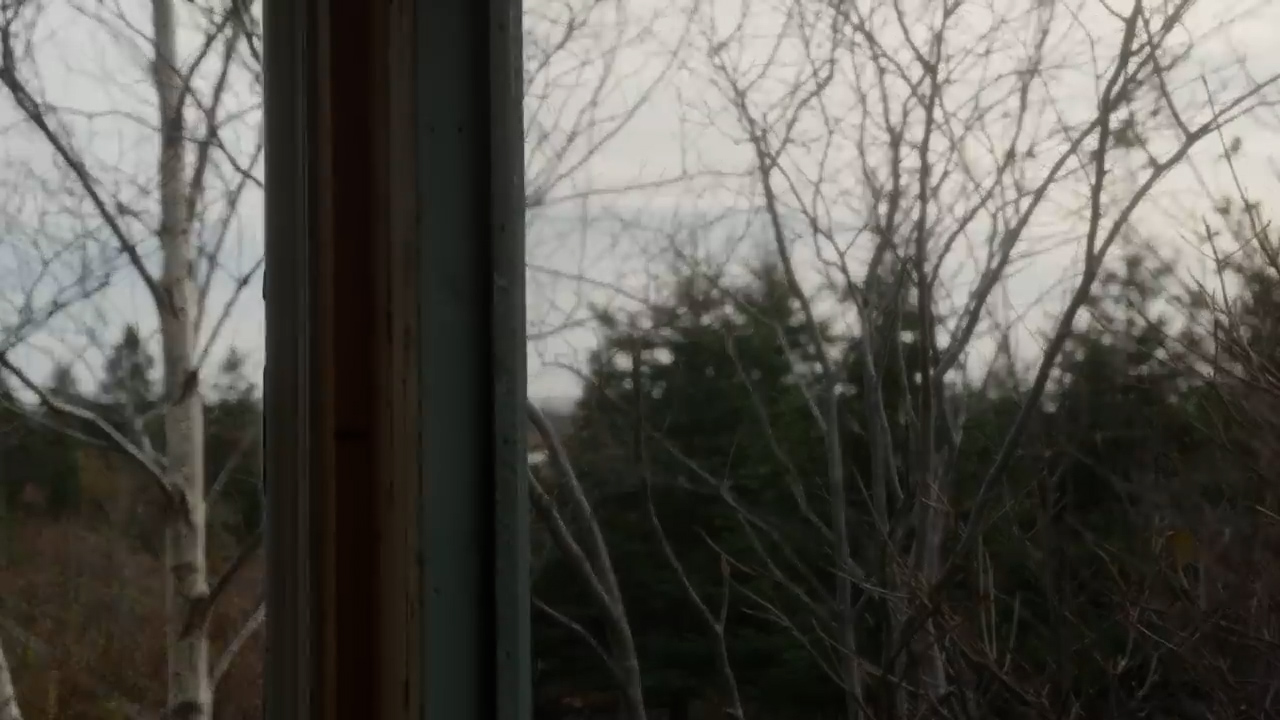 a photo of a forest taken through a window. the photo is taken from inside looking out. the photo is of a forest during the day time and the sky is overcast. the trees are bare as if it is late fall or early spring.