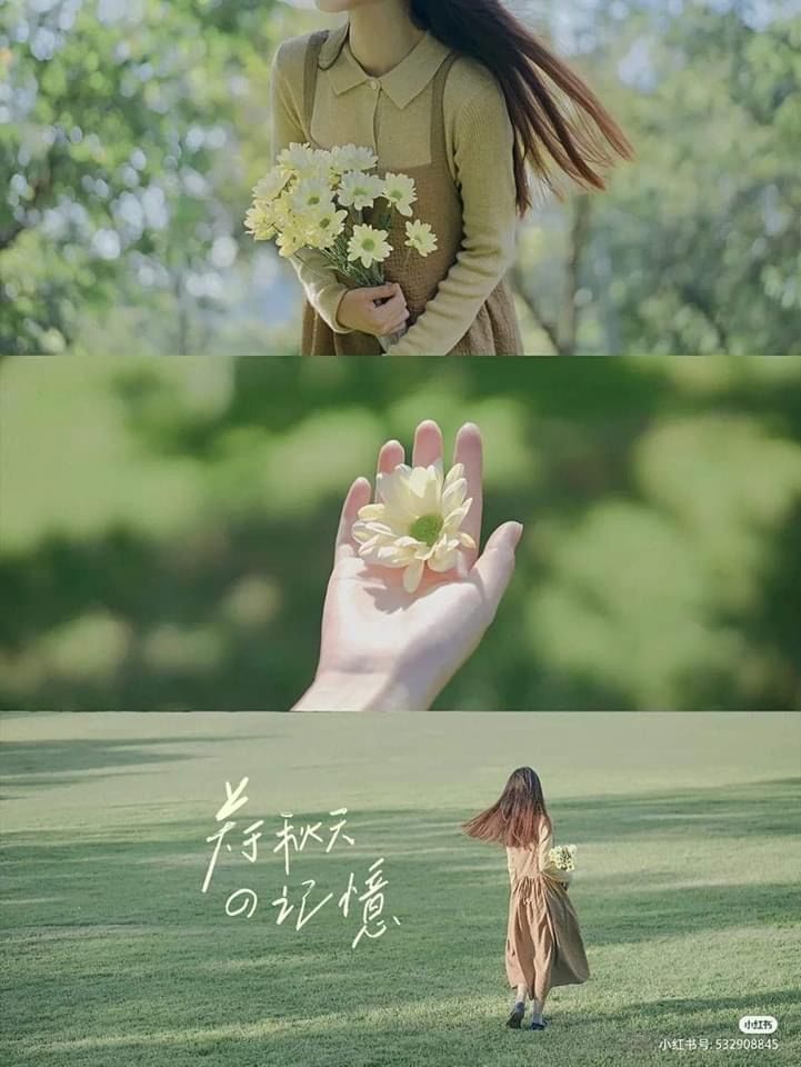 the image is a threepart collage showcasing a young woman in a light brown dress in various natural settings.  the top panel shows the woman holding a bouquet of yellow daisies in a sunlit outdoor area with blurred greenery in the background. the middle panel shows a closeup of a hand holding a single daisy against a softfocus green backdrop. the bottom panel features the woman walking in a field of green grass, carrying a smaller bouquet of flowers.  japanese or chinese characters are overlaid on the bottom panel, likely adding a poetic or sentimental message related to autumn or the season. the overall aesthetic is soft, calm, and romantic, emphasizing the beauty of nature and the woman's gentle presence within it.  the image is visually appealing due to its muted color palette and soft focus, lending it a dreamy feel.