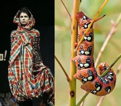 the image shows a fashion model wearing a plaid dress, on the left side, and a caterpillar on a branch on the right. the model is looking towards the right side of the image with her head turned slightly towards the left. she is wearing a plaid dress made of a patchwork of different plaid fabrics and colors, which is a unique and creative design. the caterpillar is a bright red color with white and black spots and markings on its body, which is crawling up a thin green branch.  the contrasting styles of the two images provide a thoughtprovoking juxtaposition of human and nature.