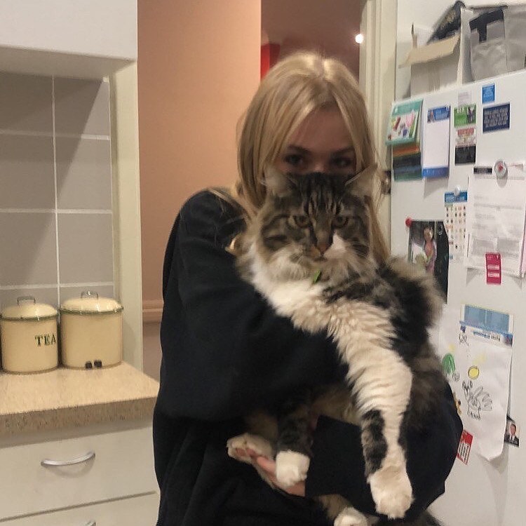 a young woman holds a fluffy tabby cat in a kitchen. the cat has a grumpy expression and a green collar. the woman has blonde hair and is wearing a black sweater. the kitchen is small and has white cabinets and beige tile. the image has a warm, домашний vibe.