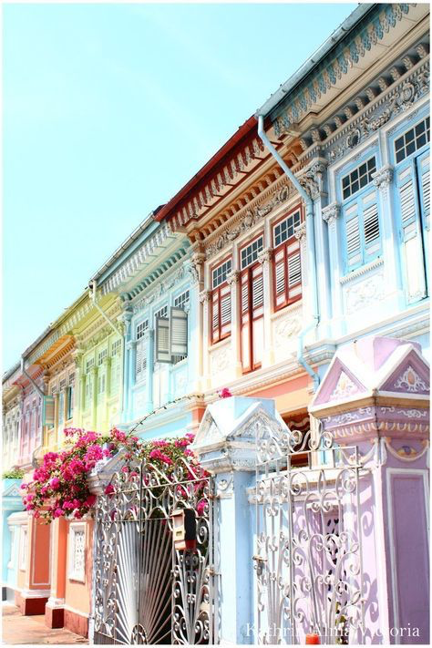 the image shows a row of colorful shophouses in pastel shades of pink, orange, green, blue and purple.  these traditional buildings are beautifully ornate with detailed trim and decorative elements.  a metal fence with a gate is in the foreground, partially obscured by vibrant pink bougainvillea flowers. the scene is brightly lit, suggesting a sunny day, with a clear blue sky visible above.  the overall style is vibrant and eyecatching, highlighting the beauty and charm of the architecture and the tropical setting.