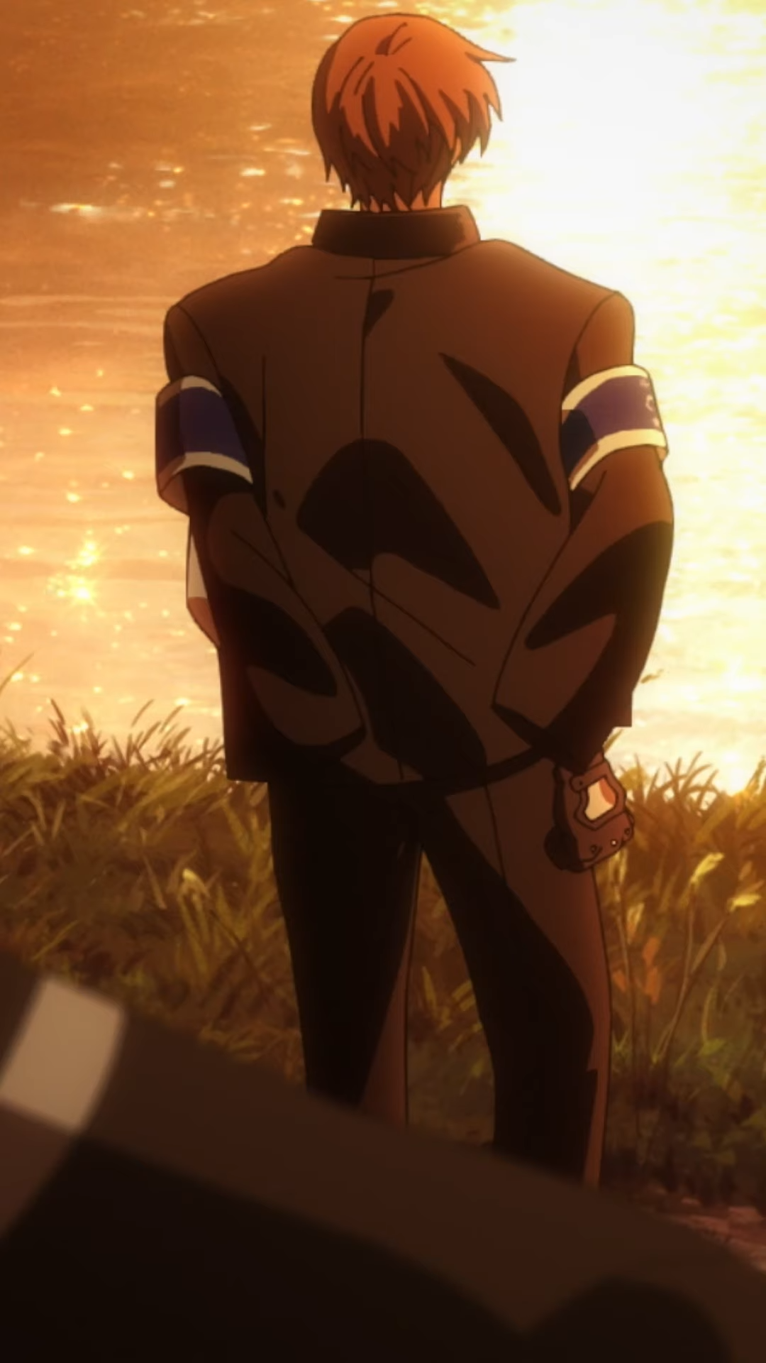 this is an anime screenshot of a man standing with his back to the camera as he faces a field at sunset. he's wearing a dark suit jacket and pants with a white undershirt and blue armbands on both arms. his hair is short and brown. the sunset behind him casts long shadows and illuminates the grass in the foreground in a golden light.