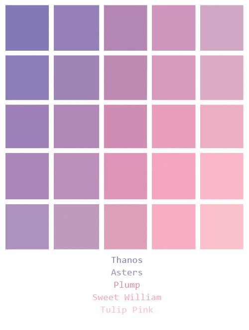 a color palette featuring 25 squares arranged in a grid pattern, showcasing shades ranging from deep purple to light pink. the colors are labeled as thanos, asters, plump, sweet william, and tulip pink.