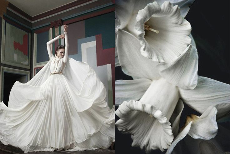a woman in a flowing white gown poses against a backdrop of colorful walls, her hands raised above her head. the dress is a work of art, and the woman’s posture is graceful and elegant. on the right side of the photo is a white flower, perhaps a daffodil, its delicate petals are visible in closeup.  the image is both ethereal and sensual, capturing the beauty of both the woman and the flower. the contrasting colors of the background add to the visual impact of the photo, while the overall composition creates a sense of balance and harmony.