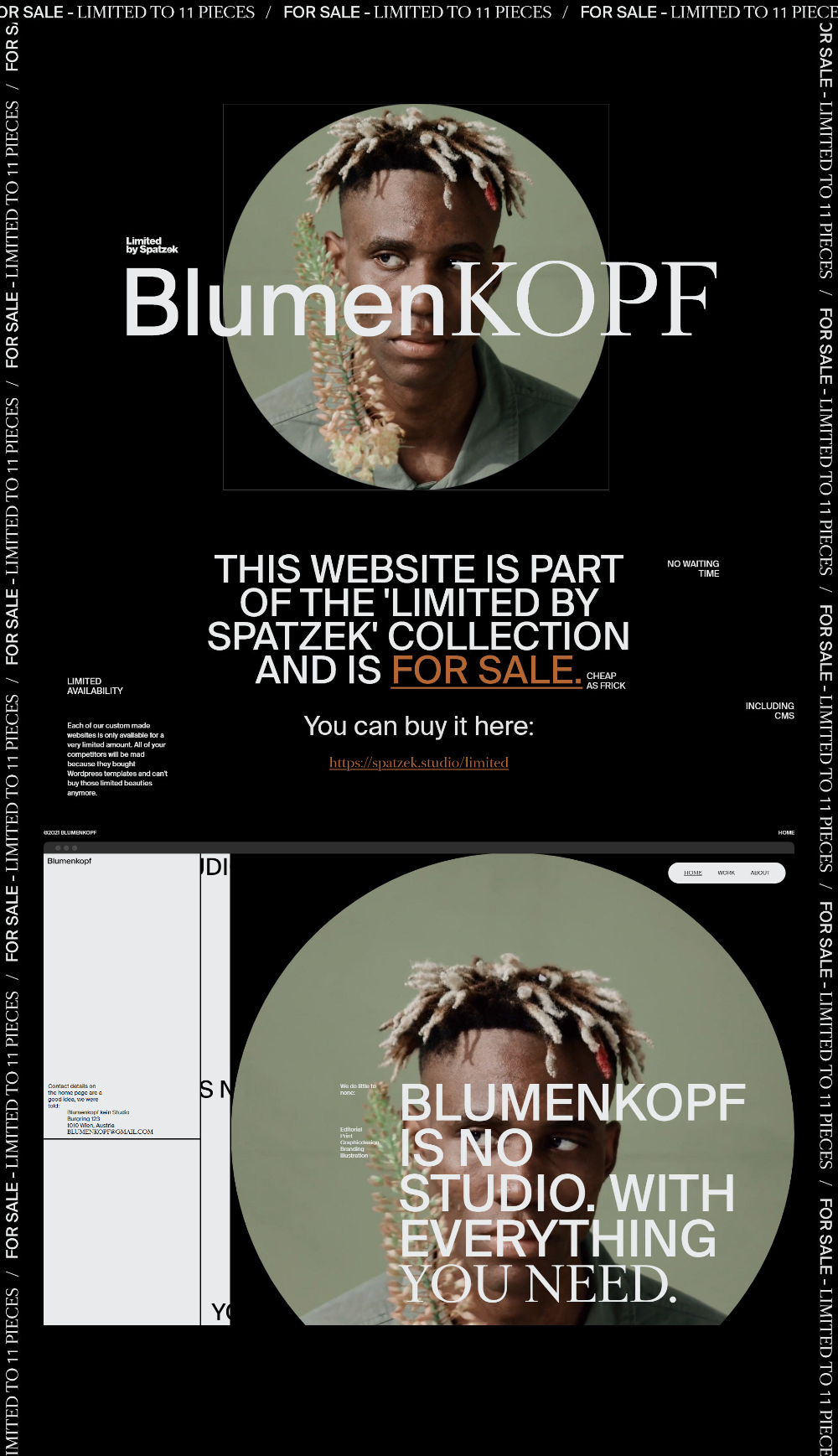 the image is a website for a music production studio called blumenkopf. the website is part of the "limited by spatzek" collection and is available for sale. the website features a picture of a person with dreadlocks and a green background. the text "blumenkopf is no studio. with everything you need" is superimposed on the picture.