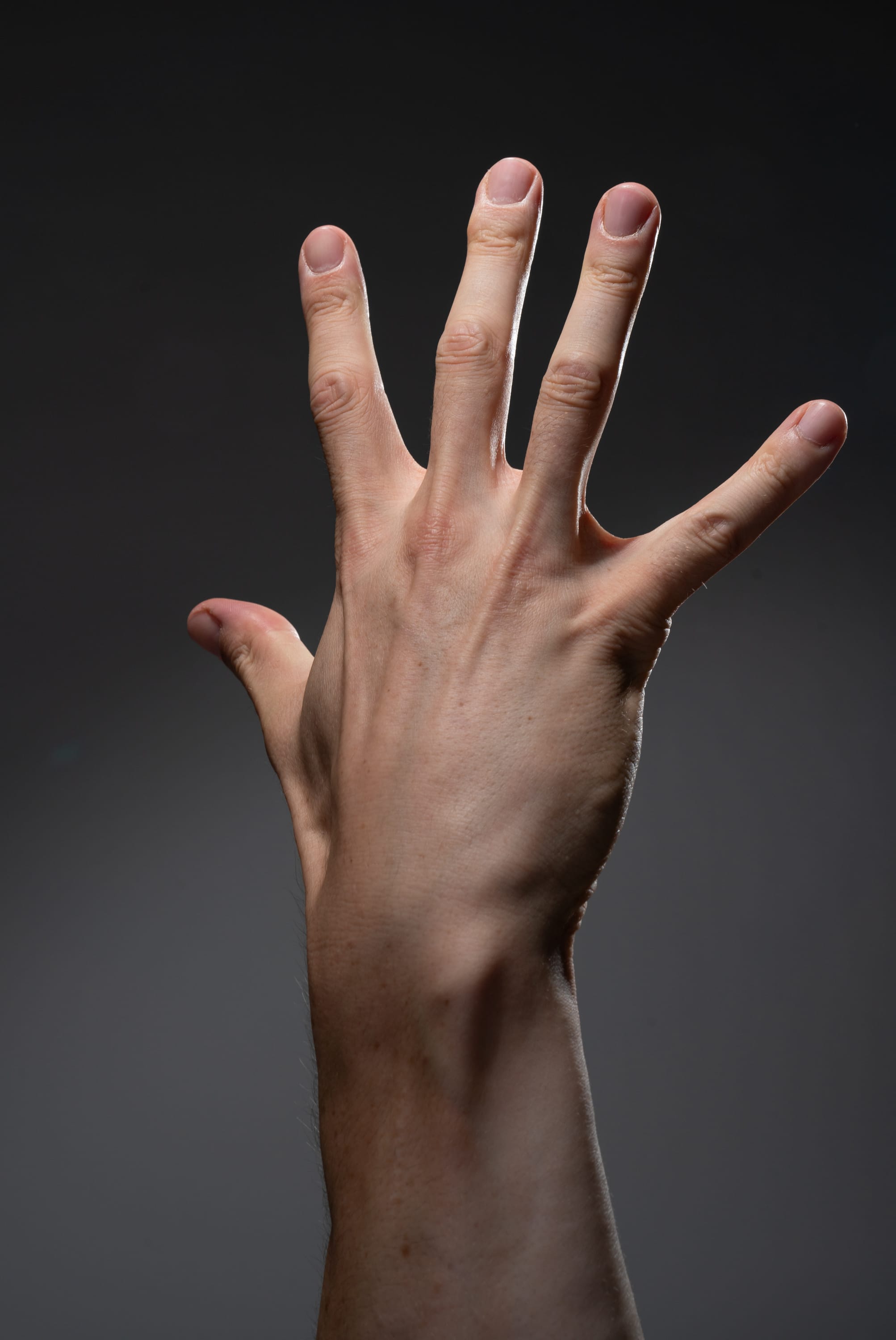 the image shows a male hand with five extended fingers. the hand is illuminated by soft lighting against a gray studio background. the image captures a closeup perspective of the hand, highlighting the details of the skin and fingers.