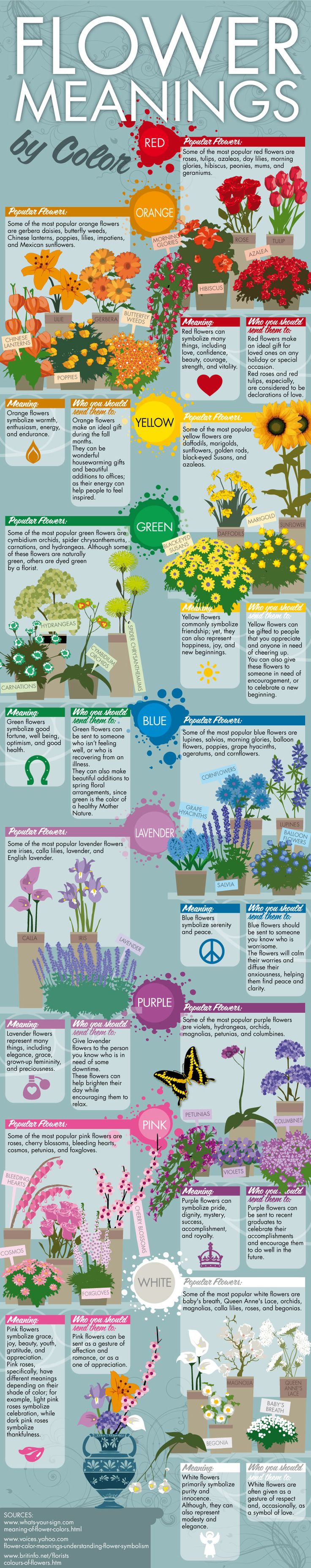 this image is an infographic about flower meanings by color. it presents different flower colors (red, orange, yellow, green, blue, indigo, purple, pink, and white) and associates them with specific emotions, meanings, and symbolism. each color category contains flowers of that color, as well as a description of what the flower represents.