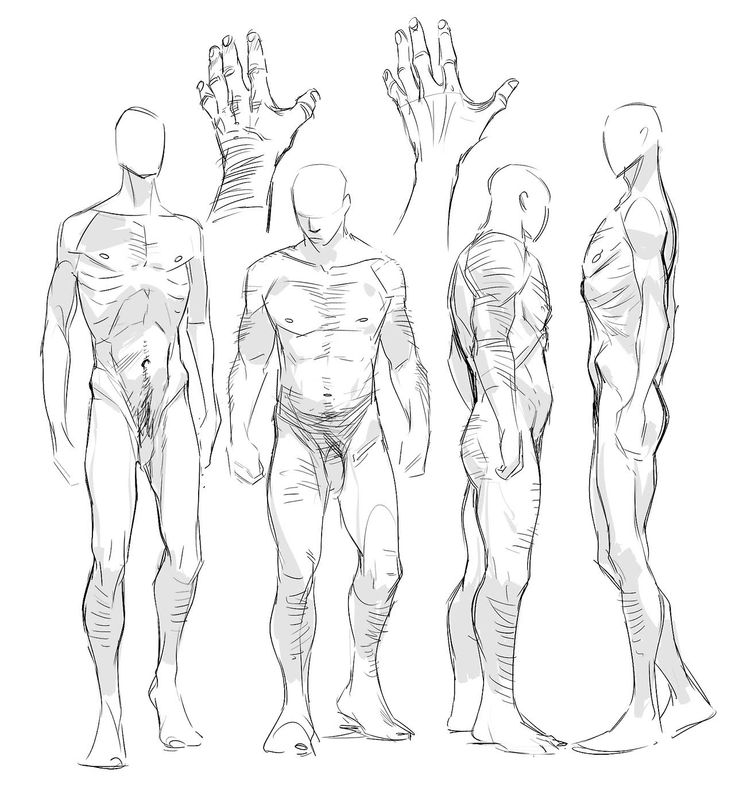 this is a pencil sketch of male figures, the drawing is a line art sketch that shows a man's anatomy from different angles. the drawing is a helpful tool to visualize the human body. the artist has captured the human figure from different angles and captured the nuances of the musculature. the drawing is very well done.