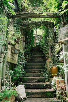 the image shows a set of stone stairs leading upwards through a lush, overgrown garden. the stairs are flanked by a variety of plants and greenery, creating a sense of tranquility and peacefulness. the scene is illuminated by natural light, giving the image a soft and inviting glow.
