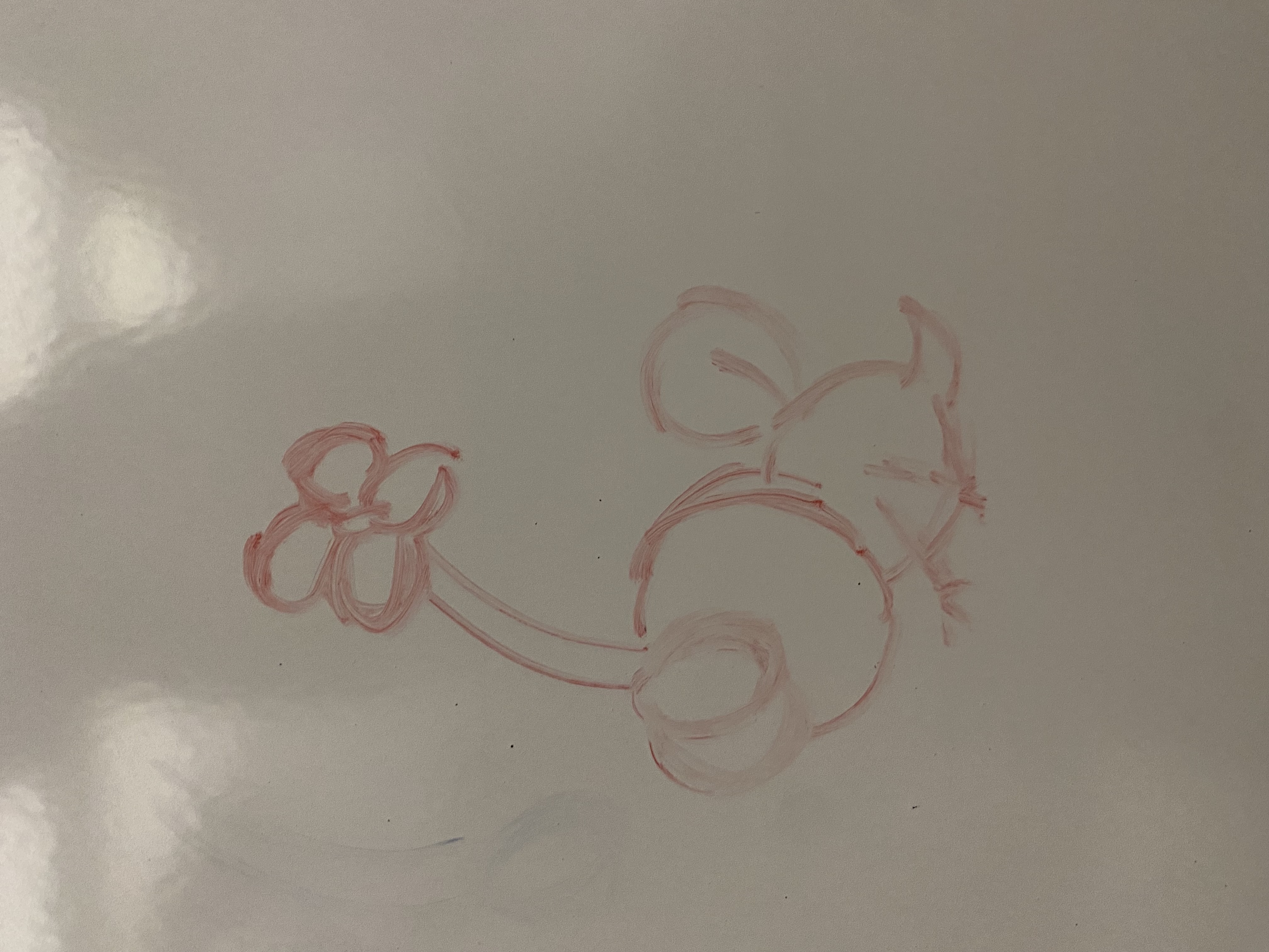 the image shows a simple drawing on a whiteboard.  the drawing appears to be a stylized chicken or bird with a flower on its head. the drawing is done in red crayon or marker and is somewhat childlike in style.  the lines are not precise, giving it a whimsical feel. the background is a plain white whiteboard.