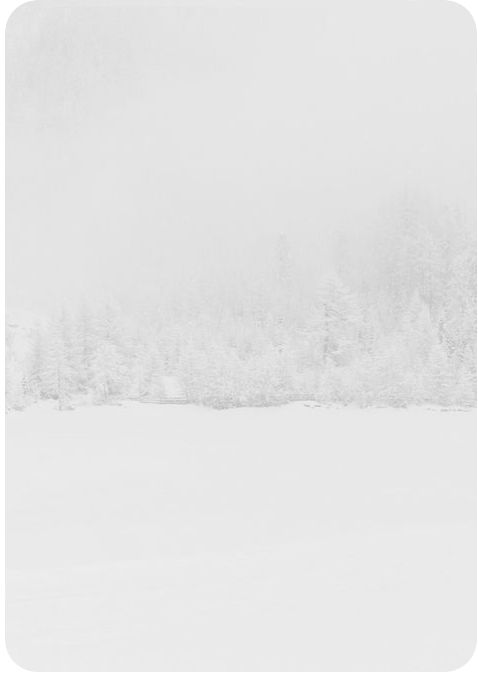 the image is a minimalist grayscale photograph depicting a snowy winter landscape.  a line of snowcovered trees stretches across the middle of the frame, appearing somewhat indistinct due to the heavy snowfall or fog. the foreground and background are filled with a uniform expanse of white snow, creating a sense of depth and quietude. the overall mood is serene and peaceful, evoking a feeling of cold, quiet winter. the lack of sharp details emphasizes the atmospheric conditions and the vastness of the snowy scene.