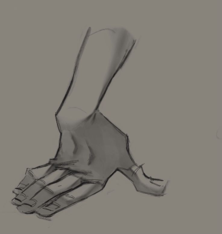 a hand with its thumb extended and fingers curled is drawn in pencil on a grey background.  it looks like an anatomical study.