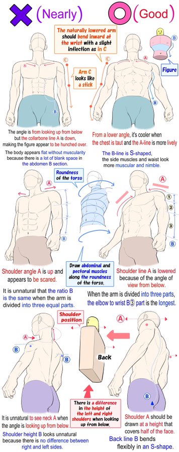 his image is a drawing tutorial focusing on the correct way to draw the human figure, particularly the torso and arm positioning from different angles.  it contrasts two examples: one labeled "nearly" (incorrect) and the other "good" (correct). the tutorial highlights key points like the natural curve of the arm, the sshaped curve of the torso, and the importance of proper shoulder and neck placement to achieve a more realistic and dynamic pose.  detailed diagrams and explanations are provided to illustrate the differences between the two approaches, emphasizing the importance of understanding anatomy and perspective for accurate figure drawing.