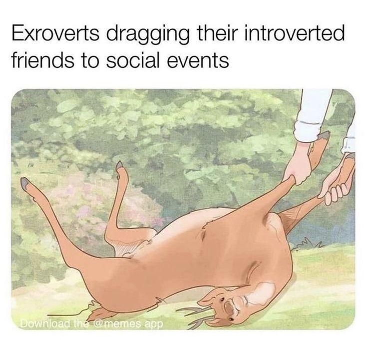 a meme depicting an extrovert dragging their introverted friend to social events. the image shows a drawing of a deer being dragged on its back by a person.
