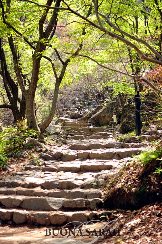 the image shows a path leading up a hill through a forest. the path is made of large, uneven stones that form steps. the stones are various shades of gray and brown. trees line both sides of the path, their branches reaching towards each other overhead. the leaves on the trees are a mix of green and yellow. sunlight filters through the trees, casting dappled shadows on the path.