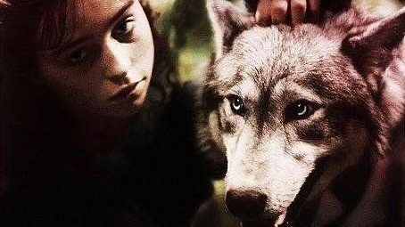 he image shows a closeup portrait of a young woman with dark hair and a large wolf. the woman's face is partially obscured by shadows, and her expression is serious and somewhat sad.  the wolf's face is very close to hers, and a hand is visible gently petting the wolf's head. the overall mood is dark, mysterious, and evocative of a strong connection between the woman and the animal, perhaps suggesting a magical or fantasy setting. the lighting and color palette emphasize the dramatic contrast between the woman and the wolf.