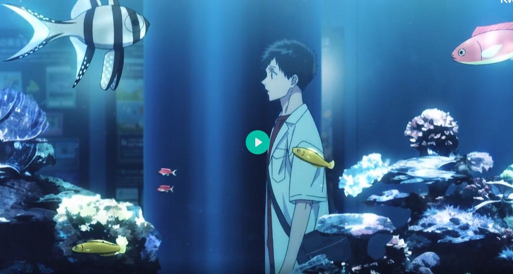 the image is a still from an anime, showing a young man with short dark hair standing in profile view beside a large aquarium. he appears calm and contemplative. the aquarium is filled with various fish, including a large black and white striped fish, smaller orange and yellow fish, and a larger pink fish. the tank is decorated with rocks, coral, and plants to create an underwater scene.  a play button is superimposed over the image, suggesting this is a still from a video. the overall color palette is cooltoned blues and greens, creating a peaceful and serene atmosphere.