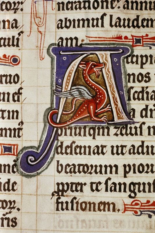a medieval illuminated manuscript featuring a letter a with a dragon inside. the letter is in gothic calligraphy and is surrounded by other writing on the page. the image is a beautiful example of medieval art and craftsmanship.