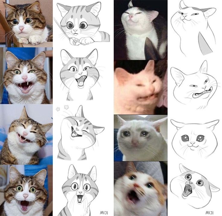 the image contains a collage of cat photos and their corresponding cartoonstyle drawings. each row shows a cat with a distinct facial expression, and beside it is an illustration mimicking that expression. the cat expressions range from surprised and joyful to angry and sad.