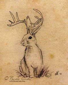 a sketch of a jackalope, which is a mythical creature that is a rabbit with antlers. the jackalope is sitting upright and has grass around its feet.