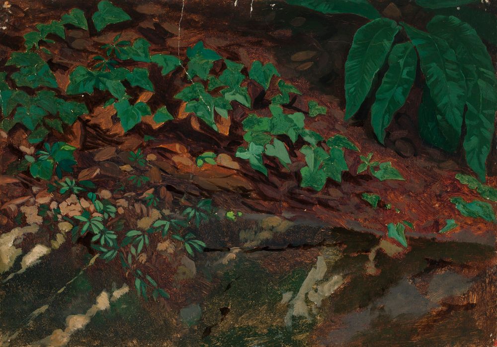 the image is a painting depicting a closeup view of a forest floor. it features various types of green foliage, including leaves of different shapes and sizes, along with brown dirt and rocks. the composition includes groundcover and undergrowth, suggesting a dense, natural environment. there appears to be a small stream or crevice in the foreground. the overall impression is of a lush and vibrant, yet somewhat shaded, woodland scene.