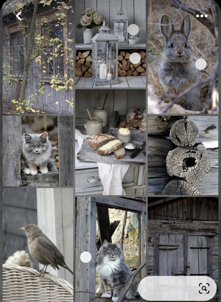 a photo collage of a rustic cabin with a  gray cat, a bunny rabbit, a bird and various other details like wood, windows and doors in a gray palette. it evokes a sense of peace and tranquility with its beautiful rustic charm.