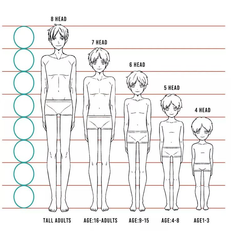 the image is a drawing tutorial illustrating the body proportions of male figures at different ages. it shows five figures, ranging from a tall adult (8 heads tall) to a toddler (4 heads tall), each with its corresponding age range specified.  the figures are depicted in a simple, outlined style commonly seen in anime and manga. each figure's height is measured in head units, with lines indicating the proportional relationship between head size and overall body height for different age groups. the figures are all nude, but wear simple underwearlike coverings.  the tutorial provides a visual reference for artists aiming to depict realistic body proportions in their anime or manga characters.