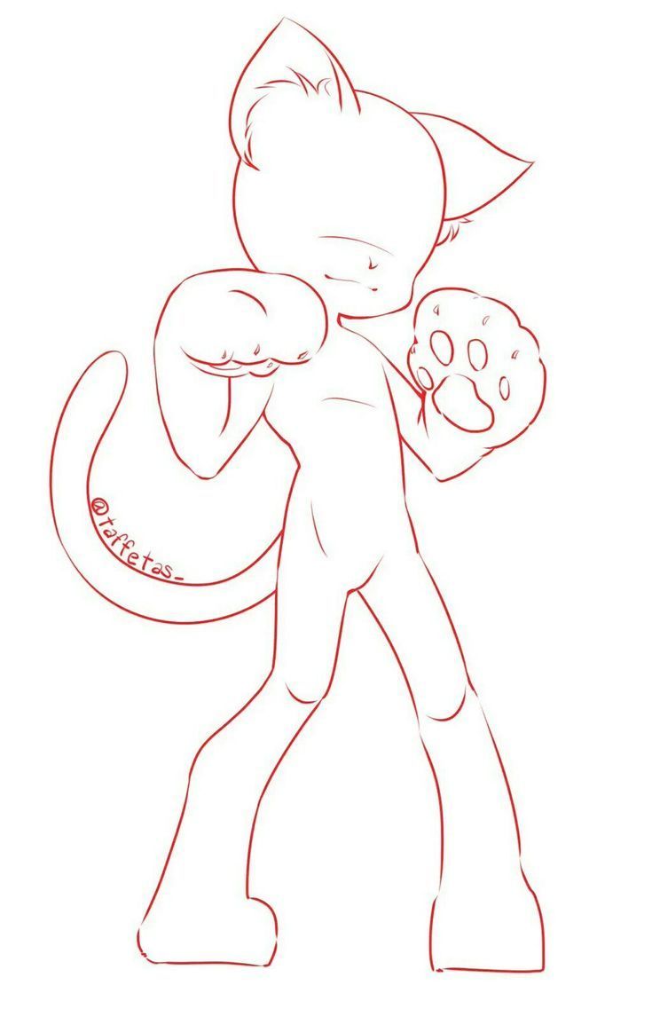 this is a line drawing of a cat. the cat is standing on its hind legs, with its front paws raised up in a fighting pose. it has a long tail that is curled up behind it. the cat has a cute, cartoonish look. it is a great base for a digital drawing, and you can see the outline of the cat's fur, paws and face.  it would make a great character for a cartoon or comic.  this is a perfect example of a digital drawing that can be used as a base for other creative projects.