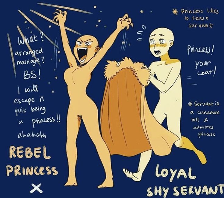 the image is a digital illustration of a princess and her servant.  the princess is holding up a stick and laughing at her servant, who is blushing and holding the princess's coat. the princess is labeled as "rebel princess" while the servant is labeled "loyal shy servant". the princess has speech bubbles saying "what? arranged marriage? bs! i will escape