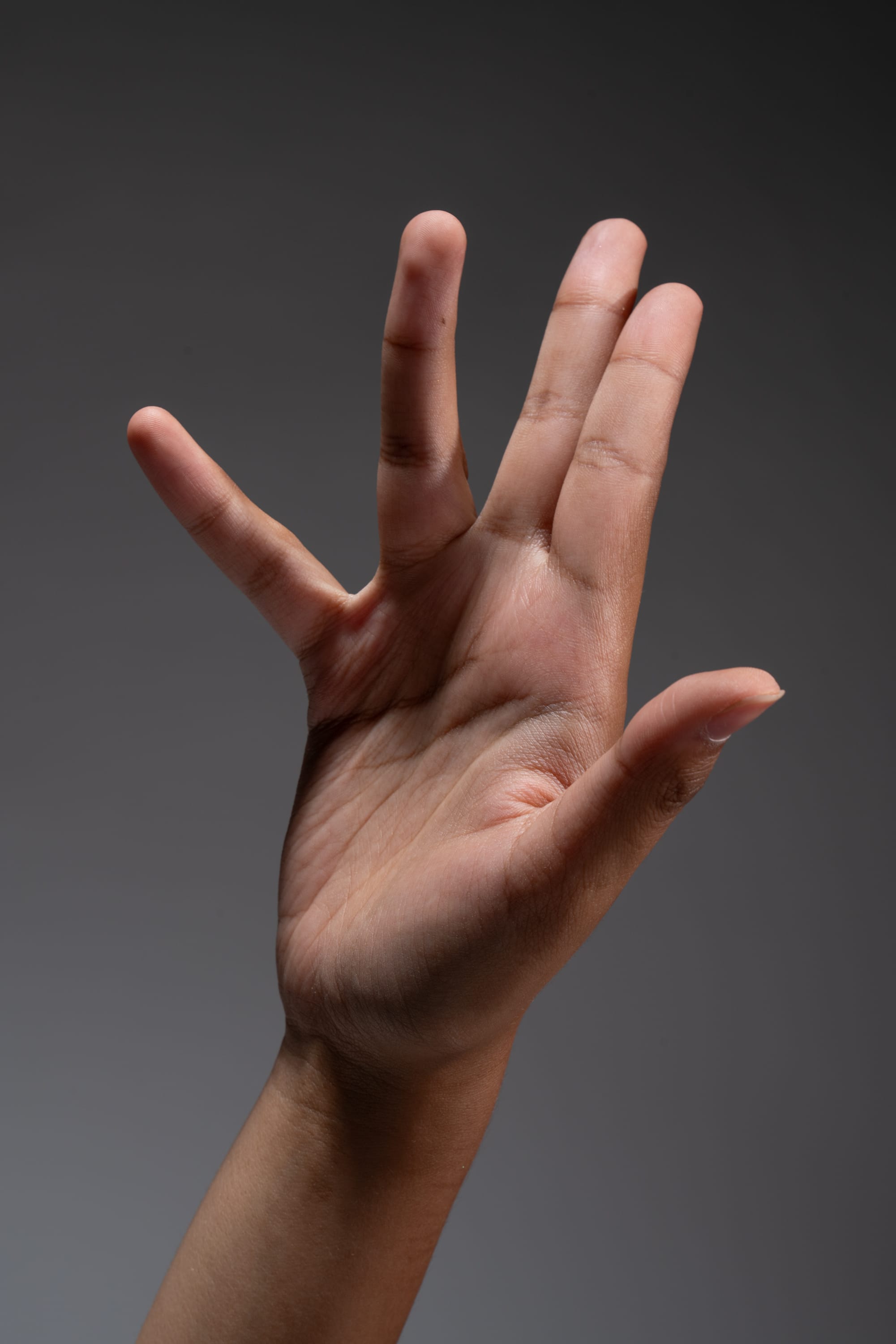 a moderately fairskinned left hand is extended upward, displaying all five fingers spread apart, illuminated by studio lighting against a neutral gray backdrop.