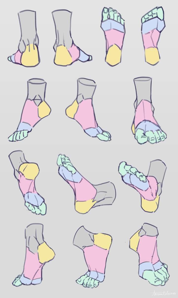 the image showcases a comprehensive collection of stylized foot drawings, demonstrating various angles and poses. each foot is colorcoded to highlight different muscle groups or sections. the style is relatively simple and clean, suitable for learning purposes or as a reference for artists. the pastel color palette makes the drawings visually appealing and easy to follow. the multiple views provide a thorough understanding of the complexity of foot structure.