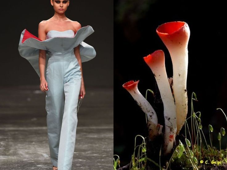 the image is a split image. on the left side, a woman is wearing a light blue jumpsuit with red accents on the top. she is walking the runway in a fashion show. on the right side, three red and white mushrooms are growing in a dark forest.