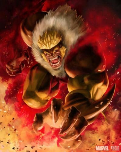 a closeup image of sabretooth, a marvel comics character. he is a mutant with claws and fangs, and he is shown in a battle pose, with red fire around him. he is wearing a yellowred suit.