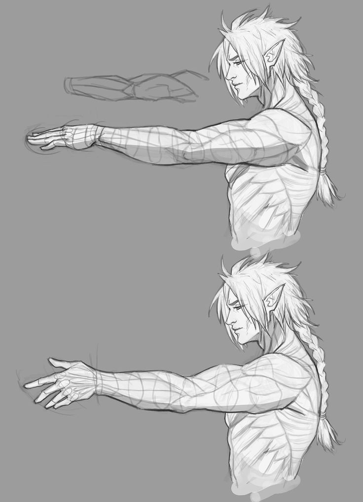 the image showcases two grayscale sketches of a male elflike figure from the side profile. the figure is muscular and features detailed anatomical lines suggesting muscle structure and form.  the figure is depicted twice, with the arms extended in slightly different positions, allowing for study of the arm and hand anatomy. each figure has long hair styled in a braid. a separate smaller sketch of an arm is shown at the top, possibly serving as a reference for the larger drawings. the style is a loose, expressive sketch, not a highly rendered finished piece.  the background is a simple, uniform gray.