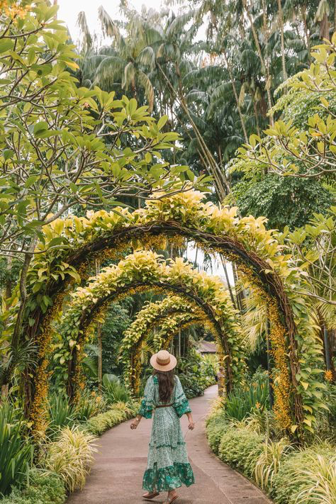 a woman in a long green dress and a sun hat walks down a path in a lush botanical garden. the path is lined with archways covered in vibrant yellow orchids and other tropical plants. the scene is peaceful and idyllic, with tall trees forming a canopy overhead. the overall atmosphere is one of tranquility and natural beauty. the image suggests a sense of serenity and escape, evoking the feeling of being on vacation in a beautiful tropical location.