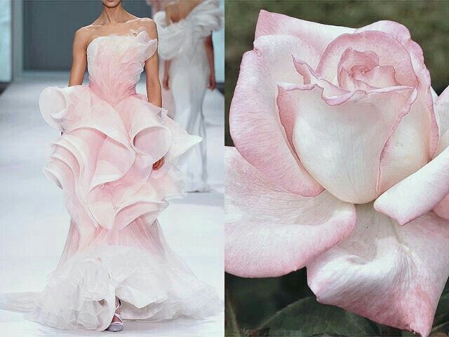 the image shows a model on a runway wearing a beautiful pink and white gown. the gown is made of layers of delicate fabric that create a romantic and ethereal look. the model's hair is pulled back, and her makeup is simple and elegant.  on the right, the image shows a closeup of a beautiful pink and white rose. the rose is soft and delicate, with petals that are a perfect match for the color of the dress. the image is a beautiful example of how fashion and nature can complement each other.