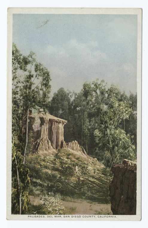 a vintage postcard depicting the palisades in del mar, san diego county, california. the image shows unique rock formations surrounded by trees and vegetation, with a partly cloudy sky above.