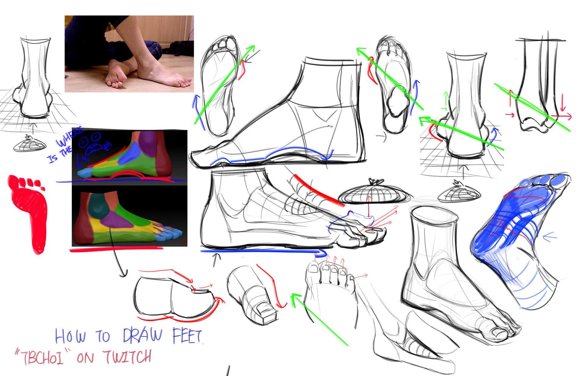 he image is a comprehensive tutorial on how to draw feet, created by "tbchoi" on twitch. it includes a variety of sketches and diagrams showcasing the anatomy of the foot from different angles and perspectives, along with 3d models to illustrate the underlying structure. the tutorial breaks down the process into simpler shapes and forms, making it easier for beginners to understand the structure and proportions. the use of colorcoded sections in the 3d model helps to highlight different anatomical areas.  different views of the foot and ankle are shown, including topdown, side, and front views.  the tutorial also shows how to draw feet in different poses and positions.  the overall style is dynamic and informative, making it an excellent resource for anyone wanting to learn how to draw realistic human feet.