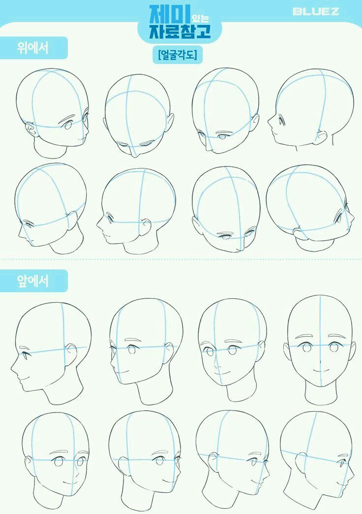 the image shows a drawing tutorial on how to draw anime/manga heads from various angles.  the tutorial uses basic shapes and lines as a guide to construct the heads, showing different views such as front, side, and threequarter views.  the text is in korean.  the style is clean and easy to follow, suitable for beginners. the top right corner shows "bluez", possibly the artist's name or brand.