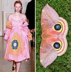 the image shows a woman in a pink, floral dress on a runway. the dress is puffy and voluminous, with intricate details and a whimsical design. in the background, there is a blurry image of a moth with large, colorful wings that resemble the pattern on the dress. the combination of the fashion and nature imagery creates a captivating and surreal aesthetic.