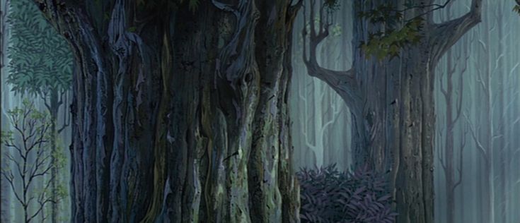 the image showcases a dense and dimly lit forest. the focus is drawn to the imposing trunks of several towering trees in the foreground. their bark is a tapestry of deep browns and greens, etched with intricate textures and knots. the trunks disappear into the foggy atmosphere, creating a sense of depth and mystery. the background reveals a glimpse of other trees, their silhouettes fading into the hazy distance.  a patch of dark green foliage adds a touch of contrast at the base of the central trees.