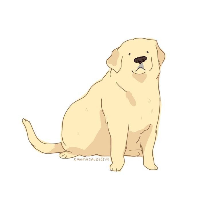 a cute cartoon illustration of a chubby, light yellow golden retriever dog sitting down. the dog is drawn in a simple, minimalist style with soft lines and light coloring. it has a happy expression on its face.  the background is white. a small watermark is visible near the bottom.