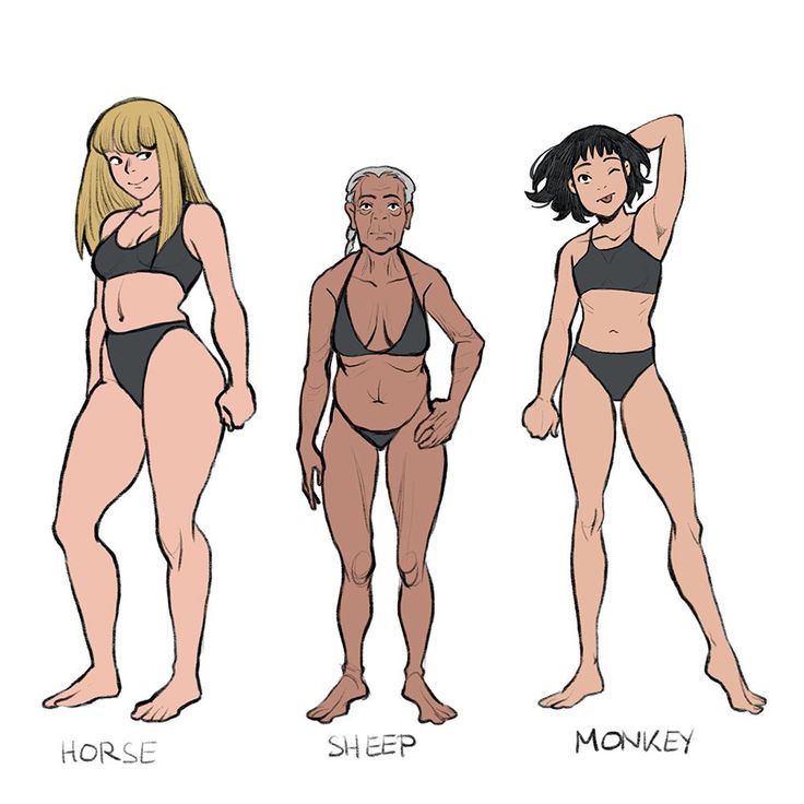 the image shows three female figures drawn in a style reminiscent of anime or manga. each figure is labeled with an animal name: "horse," "sheep," and "monkey." the figures are depicted in swimsuits, allowing for a clear comparison of their different body shapes and proportions.  the "horse" figure is tall and slender with long legs and a lean build. the "sheep" figure is older, with a more mature and curvaceous physique.  the "monkey" figure is relatively muscular and athletic with a lean build.  the differences highlight variations in body types, each referencing a particular animal's body shape characteristics in a stylized and illustrative way.