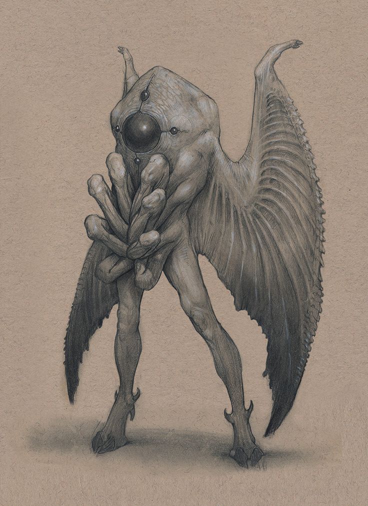 a pencil drawing of a winged, grotesque, alienlike creature. it has a large head with a single large eye,  a strange, fleshy body and a pair of feathered wings. the creature is drawn with sharp, angular lines that give it a creepy, unsettling appearance.