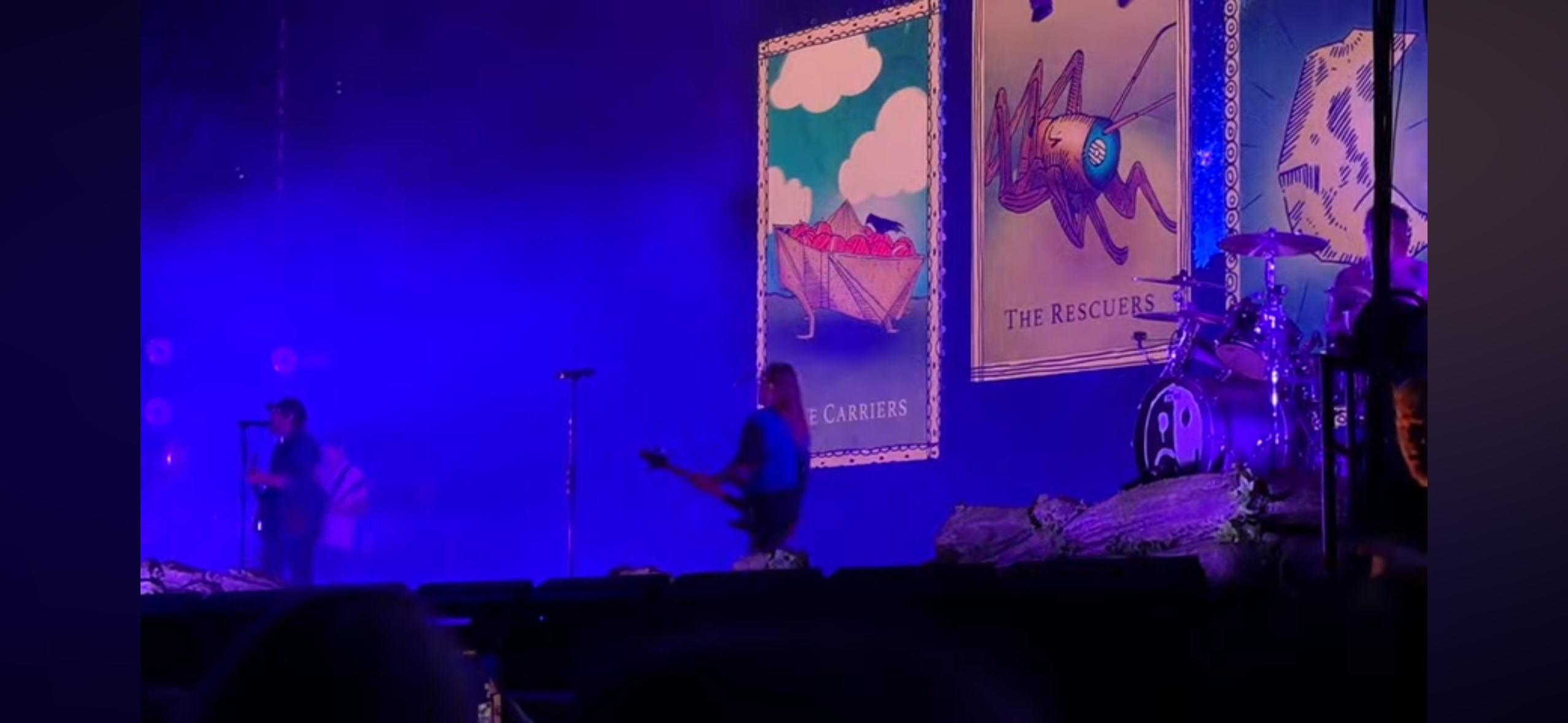 a live concert performance with two figures on stage. one figure is a vocalist holding a microphone and the other is a guitarist playing a dark coloured guitar. there are two large posters hung on the stage wall with a drum kit visible on stage. there is an audience in front of the stage but only the top of the heads are visible. the stage and backdrop are lit by purple spotlights and the lighting is creating a foggy effect. the poster on the right contains a cartoon image of a cricket, and the poster on the left shows a cartoon image of a boat. the poster on the left is entitled "carriers" and the one on the right is entitled "the rescuers".