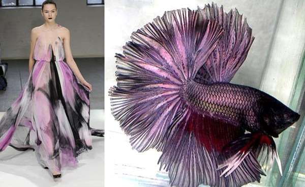 a woman in a purple and black dress is standing in a room with a lightcolored floor. her dress is a mix of patterns with some black and white elements. in the background, a fish with purple, pink, and red fins and scales is shown,  swimming with its tail spread out.
