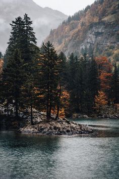 a group of evergreen trees on a small, rocky island in a lake. surrounding the lake are mountains covered in evergreen and deciduous trees displaying their fall colors of red, orange, and yellow. the sky is overcast, and it is raining on the lake.