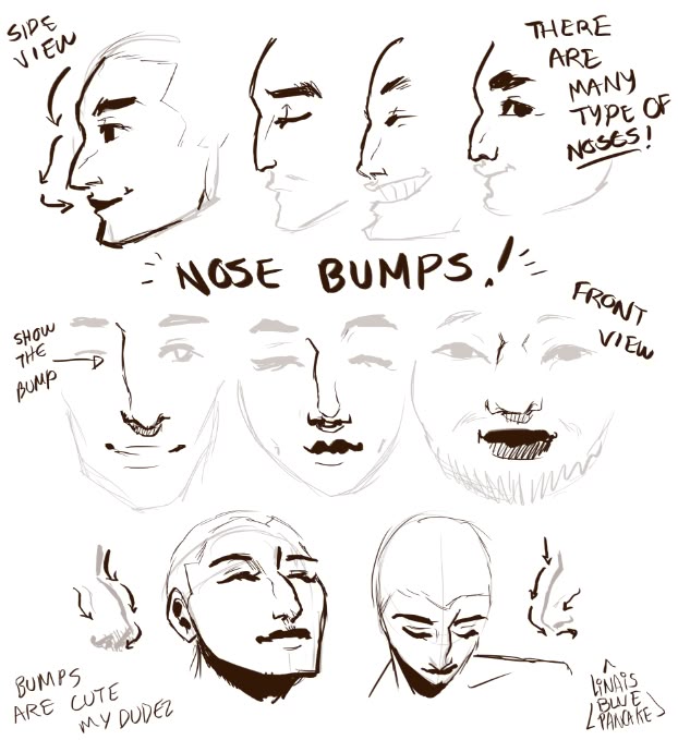 a sketch showing different types of noses in side and front views, emphasizing nose bumps. the image also includes handwritten notes about noses and bumps, as well as the artist's signature.