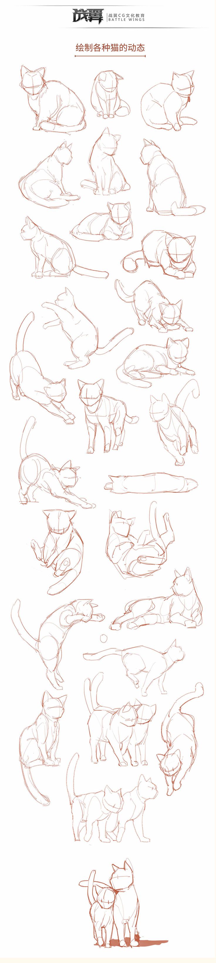 the image is a collection of sketches of cats in various poses. the sketches are done in a light brown color on a white background. the cats are shown from different angles, including side, front, and back views. the sketches are detailed and show the cats' anatomy, including their muscles and fur.
