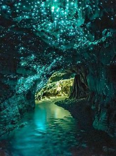 a dark, mysterious cave illuminated by the bioluminescence of thousands of glowworms. the light creates a magical, otherworldly atmosphere, illuminating the flowing stream and mosscovered walls. the air is thick with moisture, and the darkness feels both inviting and slightly unnerving.  the glowworms create a celestiallike effect, like a starry sky reflected in the water.